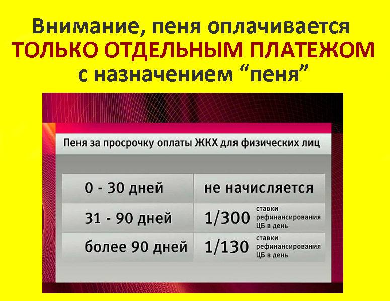 Как оплатить пени по электроэнергии в 2020 году - права россиян