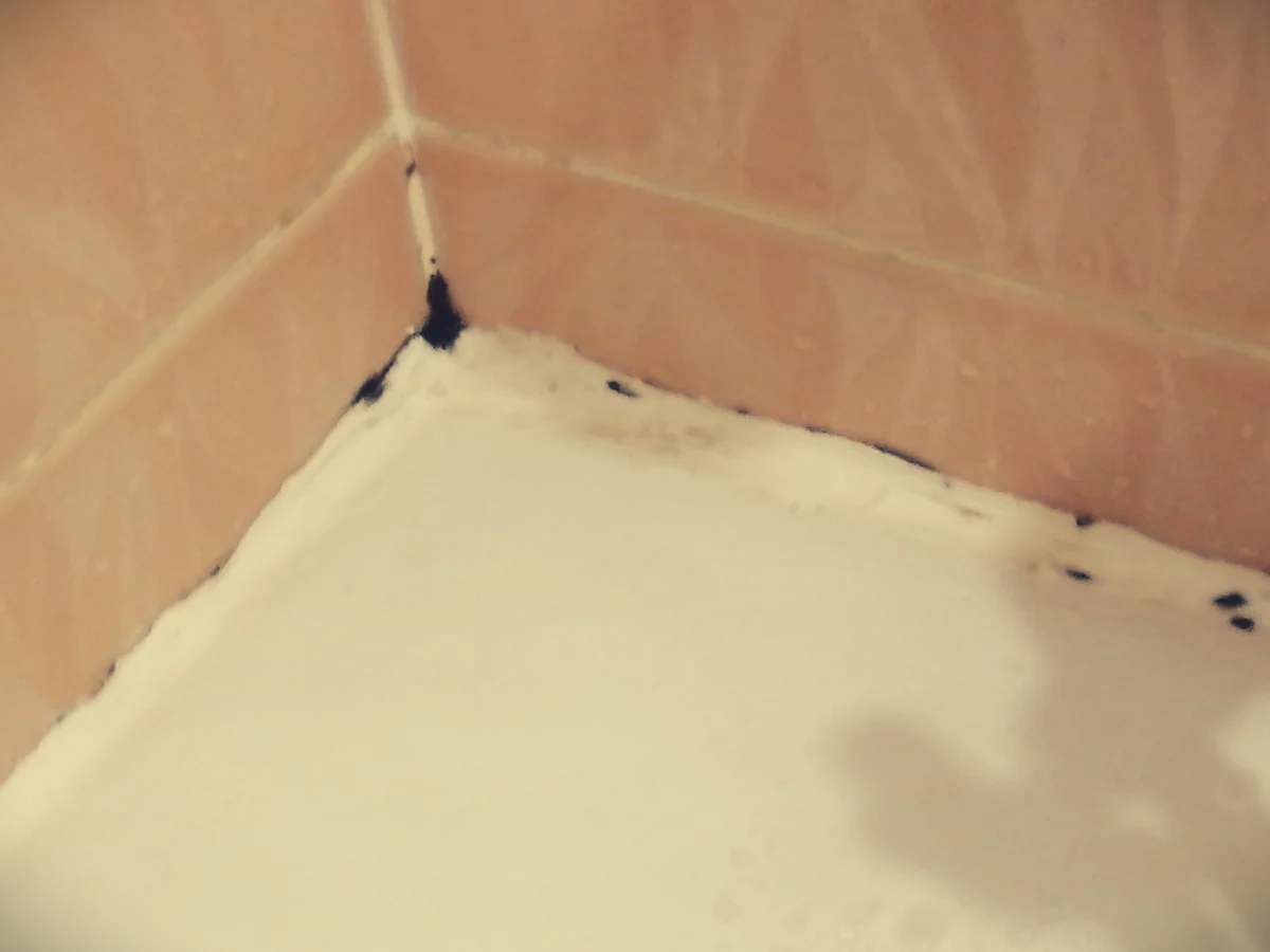Плесень в ванной: избавляемся от напасти в домашних условиях