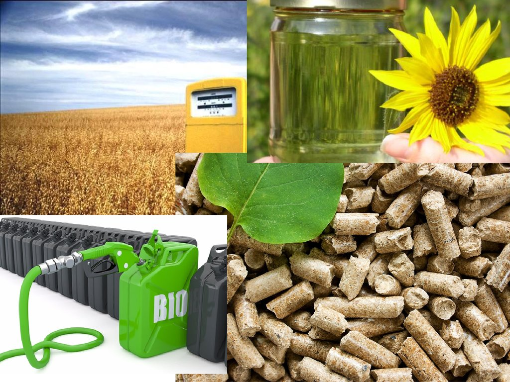 Биотопливо( с13н24). Биодизель биоэтанол. Жидкое биотопливо биодизель. Биотопливо твердое жидкое газообразное.