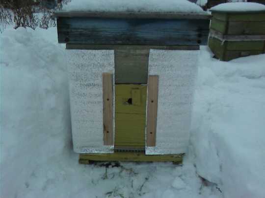 Подготовка пчел к зимовке. сборка гнезда пчел на зиму