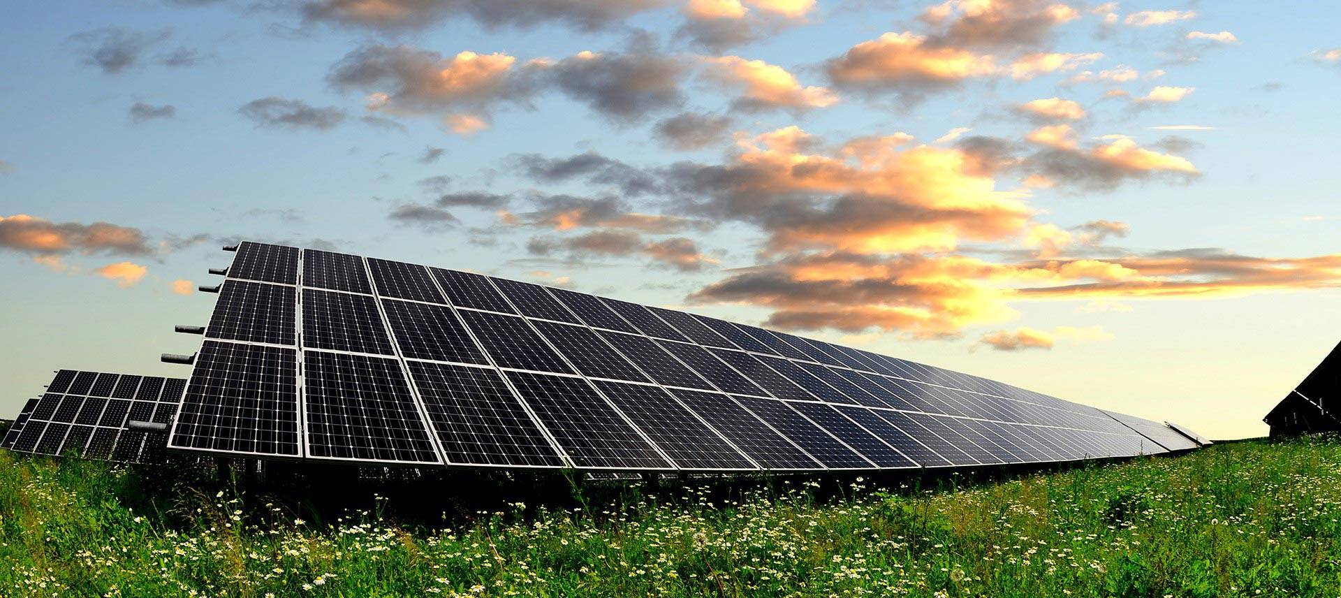 Как выбрать солнечную панель: виды батарей и основные нюансы выбора