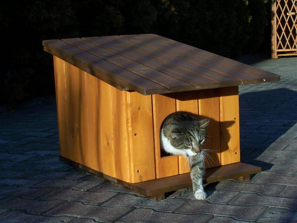 Зимний домик для кошки на улице - все про стройку