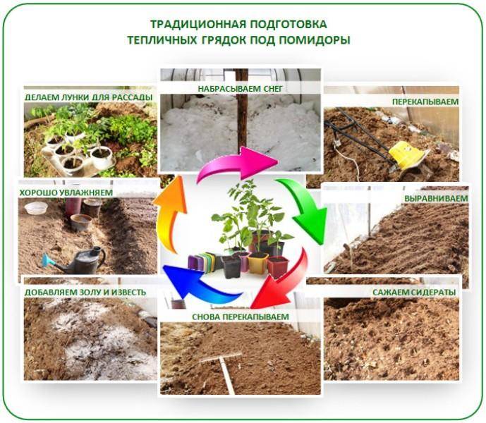 Почва для огурцов: подробная технология подготовки грунта с гарантией высокой урожайности