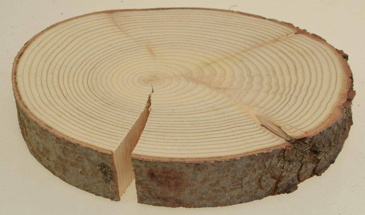 Ценные породы древесины в рф: 10 самых дорогих видов древесины в россии (вишня, орех маньчжурский, дуб, крымский махагони, ясень)
