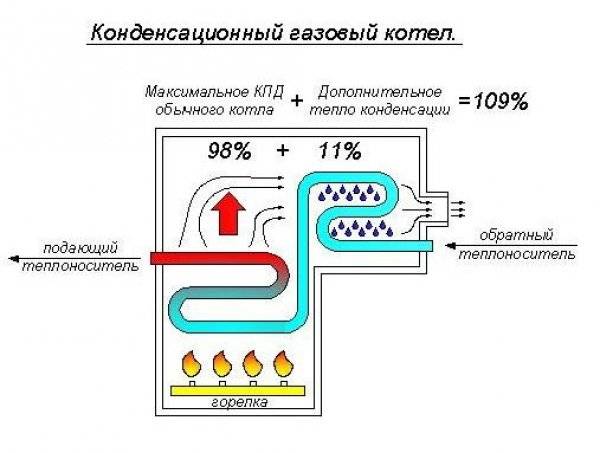 Газовый конденсационный котел - почему за этими котлами будущее - topclimat.ru