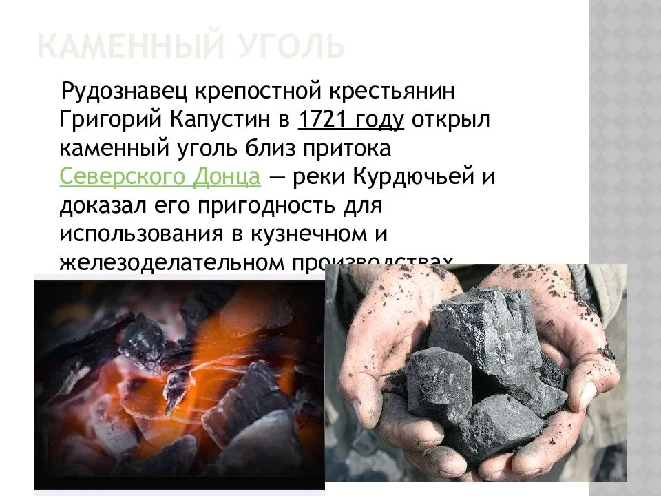 Каменный уголь: происхождение, виды и свойства