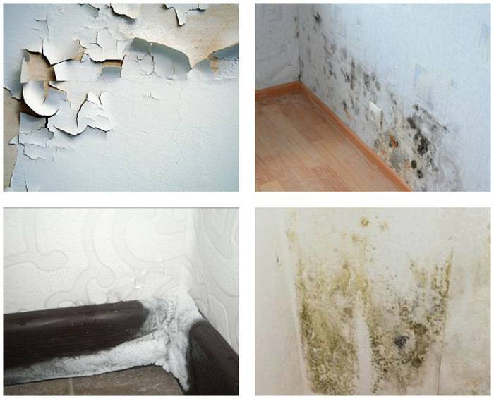 Как утеплить стену в квартире изнутри – грамотная работа с разными материалами