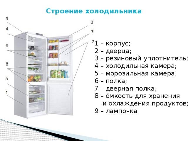 Выбираем встраиваемый холодильник: важные рекомендации для правильной покупки!