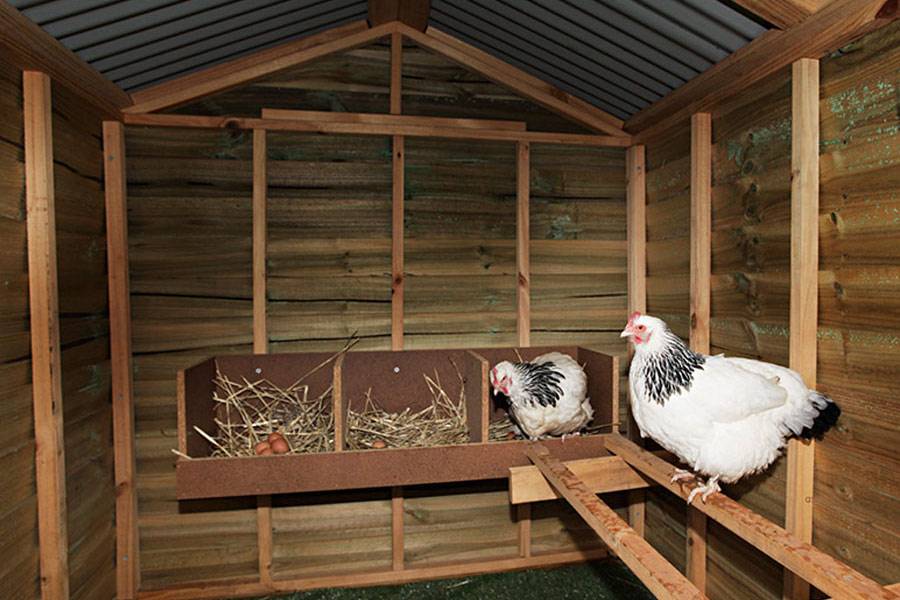 Чем утеплить сарай для кур и других домашних животных?