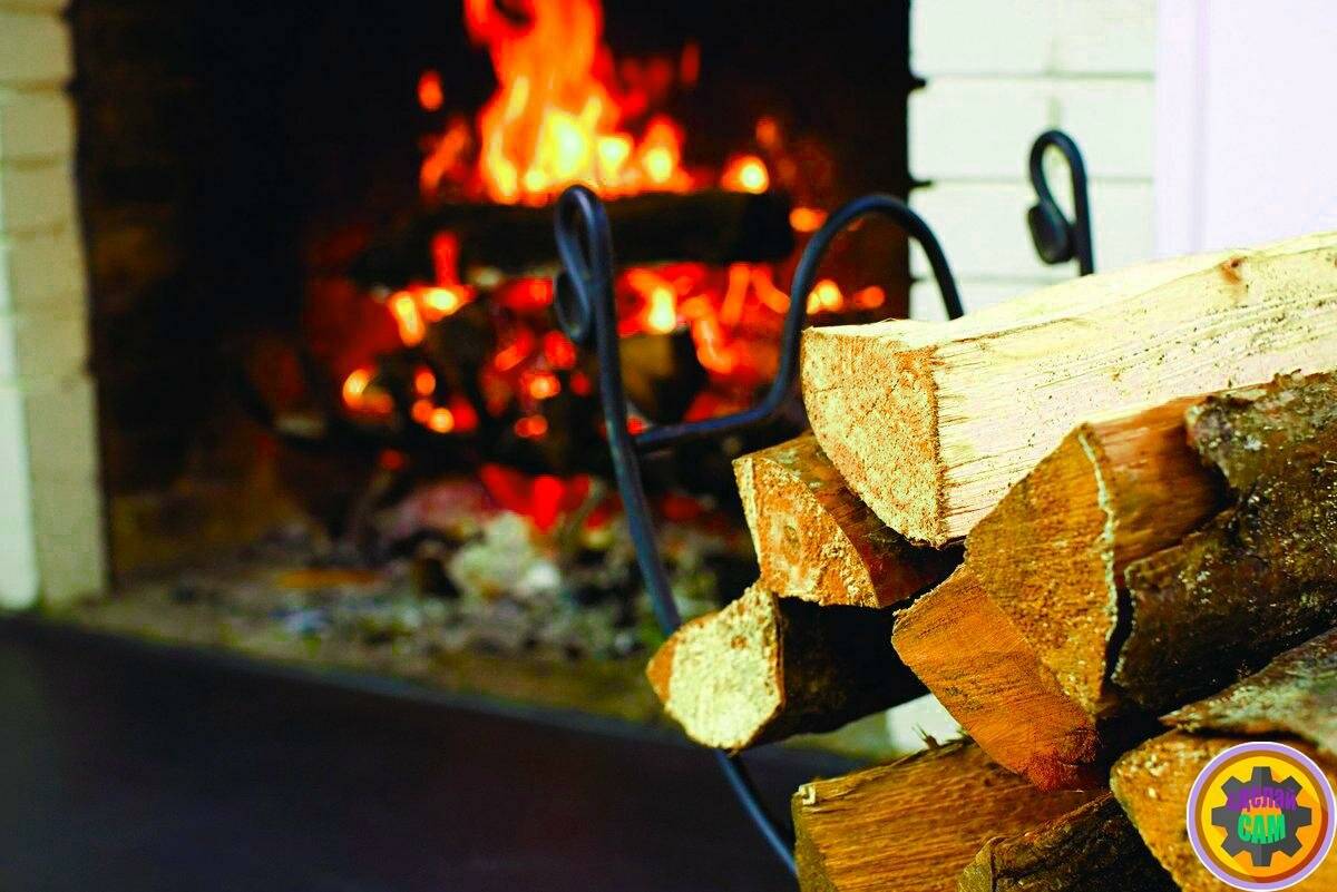 Камины и печи » чем лучше топить печь дровами или топливными брикетами, сравнение