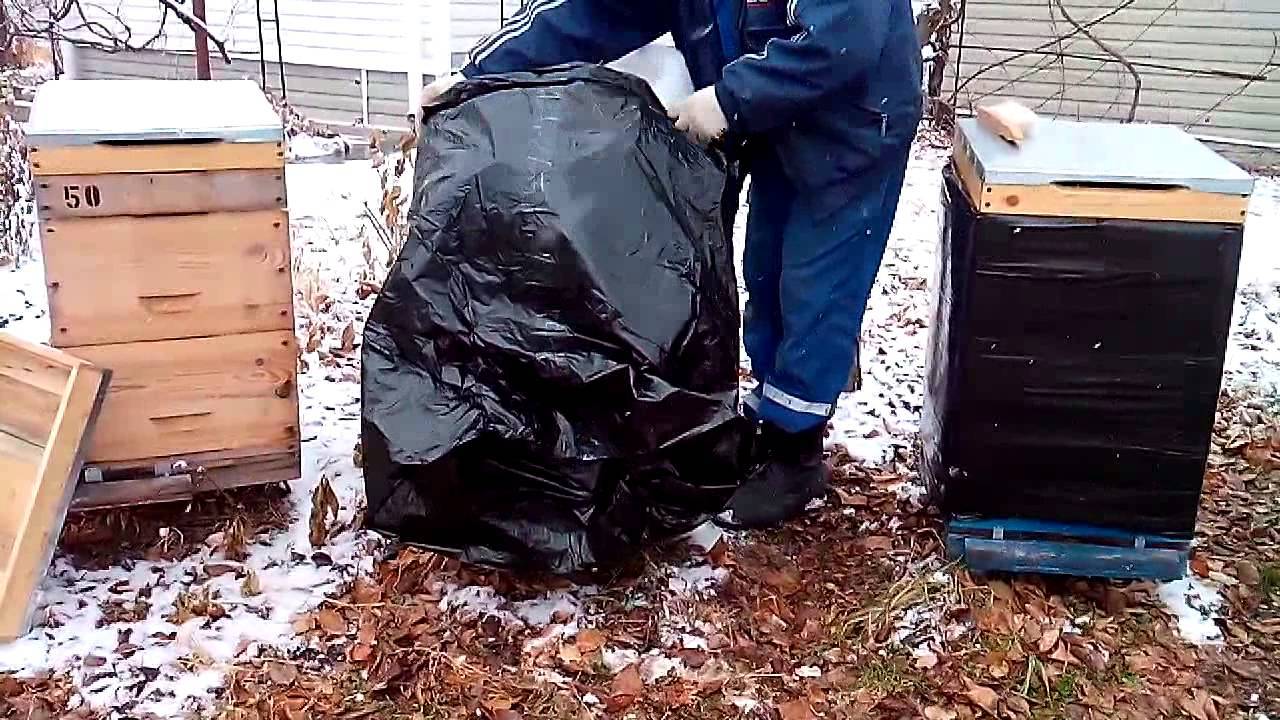 Утепление ульев на зиму снаружи: как укрывать фольгоизолом и пенопластом, когда и нужно ли это делать, фото, видео
