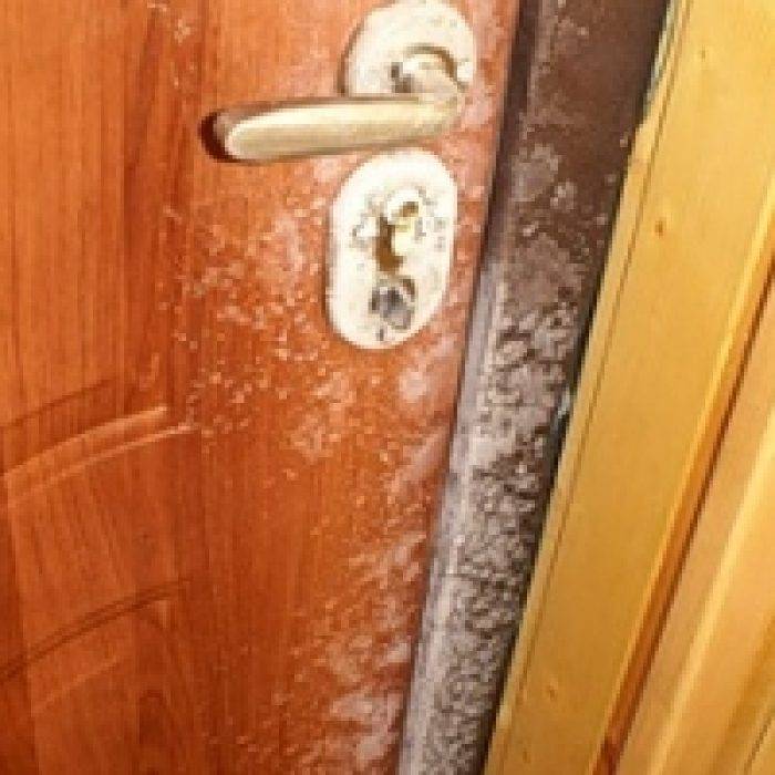 Как утеплить входную деревянную дверь