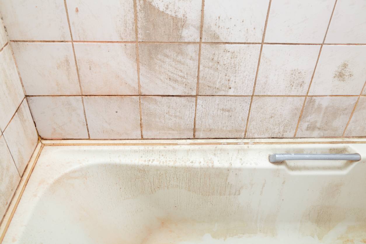 Плесень в ванной на швах плитки: как избавиться, народные средства