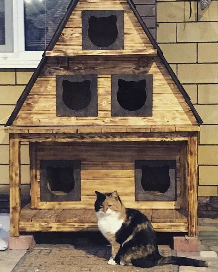Домики для бездомных кошек на улице – это возможно!